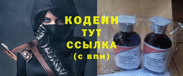 индика Лихославль