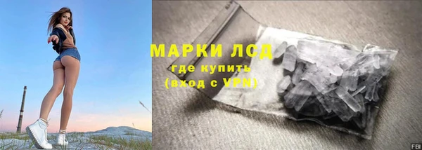 индика Лихославль