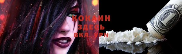 бошки Лиски