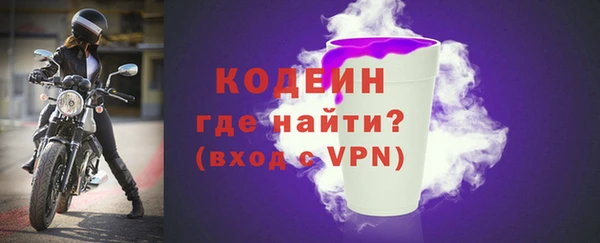 индика Лихославль