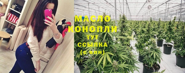 индика Лихославль