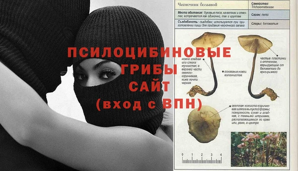 индика Липки