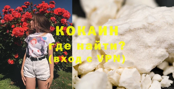 индика Лихославль