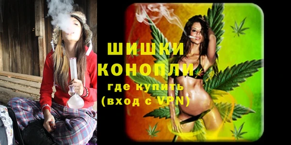 индика Липки
