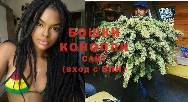 индика Липки