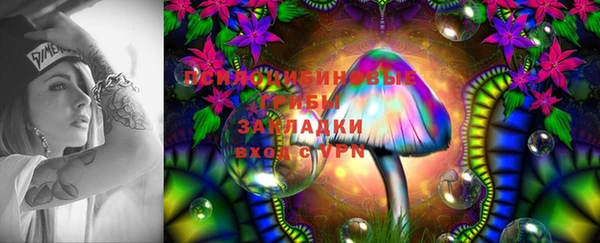 бошки Лиски
