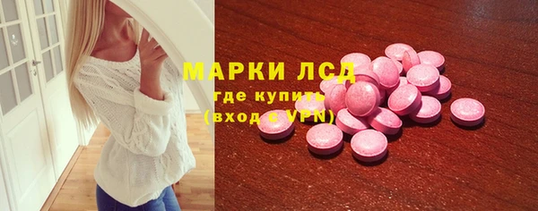 индика Лихославль