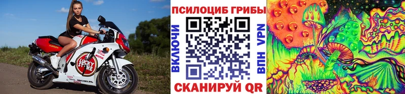 Купить закладки  Зеленокумск  Псилоцибиновые грибы мицелий 